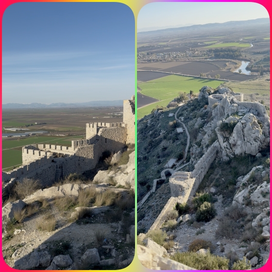 2026 TYF-Uluslararas� Masterlar